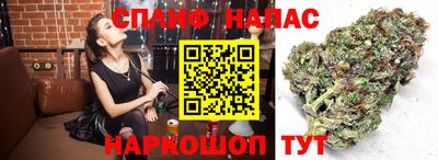 каннабис Боровичи