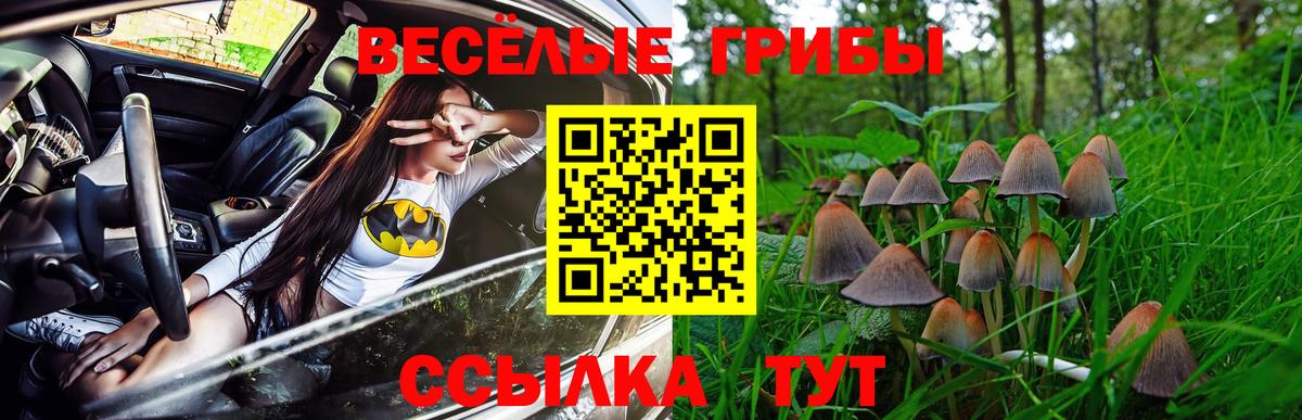 Омск  Галлюциногенные грибы MAGIC MUSHROOMS  Вход с VPN 